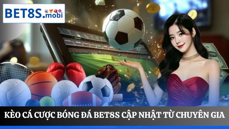 Cá cược bóng đá Bet8s