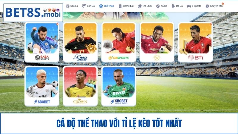 Cá độ thể thao BET8S