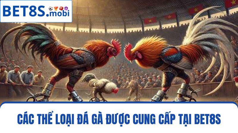 các thể loại đá gà Bet8s