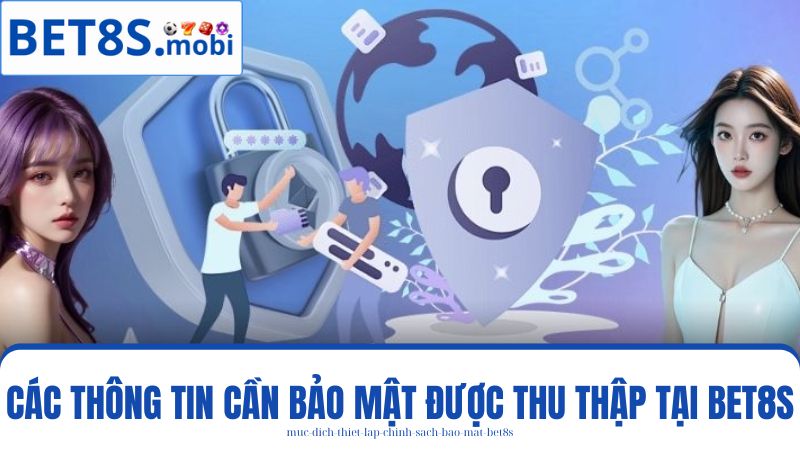 thông tin được chính sách bảo mật Bet8s thu thập 