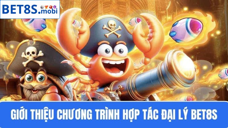 chương trình hợp tác đại lý Bet8s