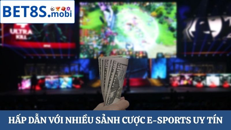 nhiều sảnh cược E-sports Bet8s