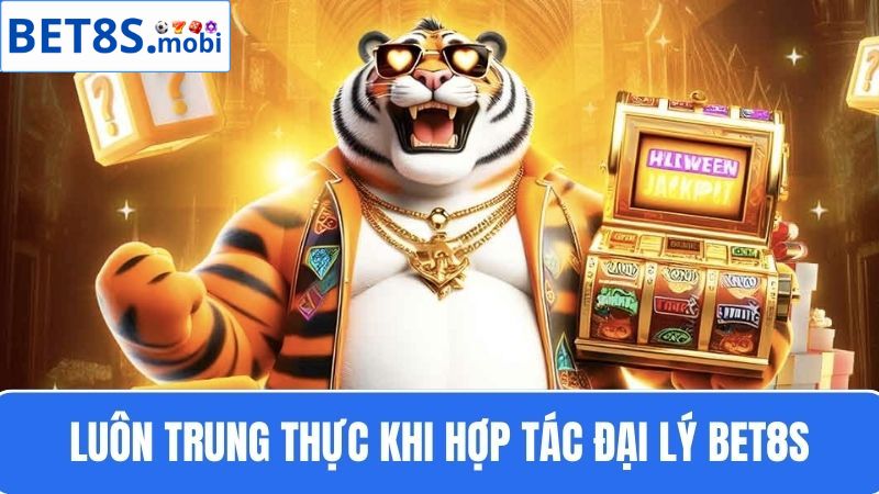 hợp tác đại lý Bet8s