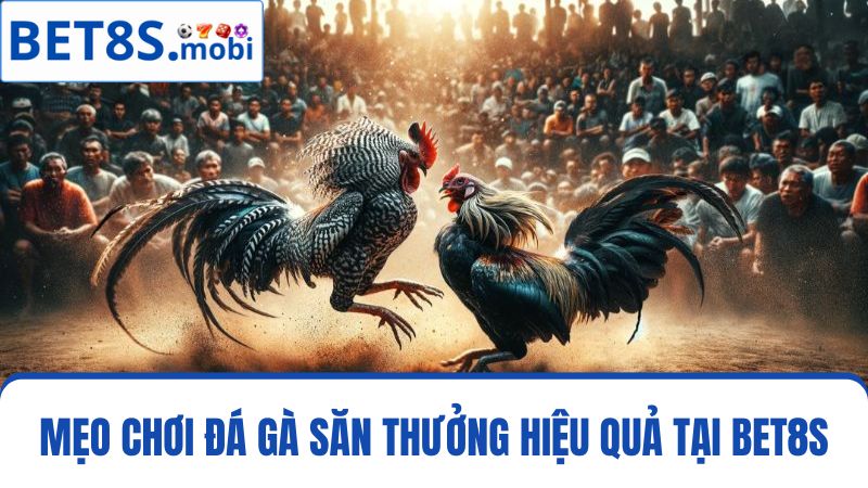 mẹo chơi đá gà Bet8s