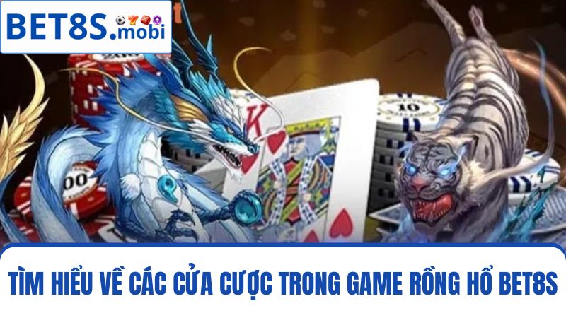  các cửa cược Rồng Hổ Bet8s